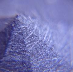 tn_DSC_0217.JPG