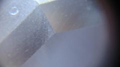 tn_DSC_0361.JPG