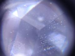 tn_DSC_0368.JPG
