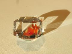 tn_IMG_0313.JPG